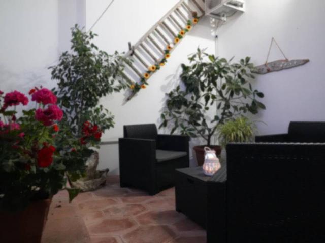 Appartamento in affitto a Otranto LE