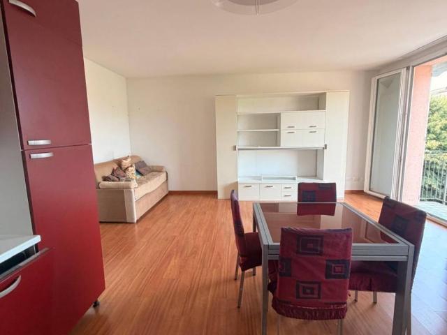 Appartamento in affitto a Olgiate Comasco CO