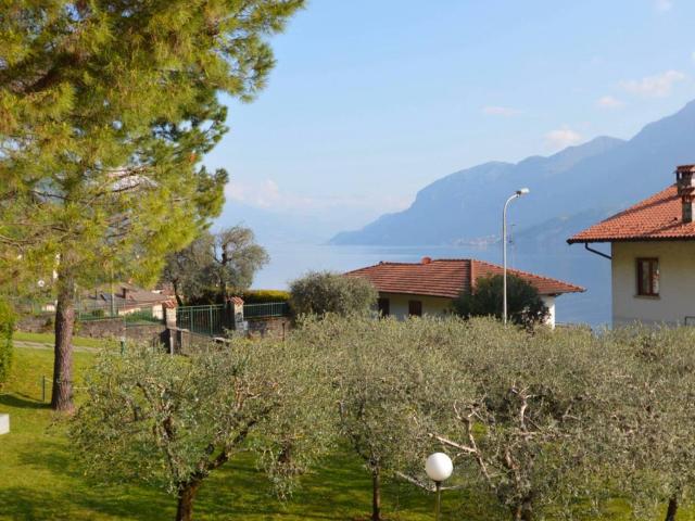 Appartamento in affitto a Oliveto Lario LC