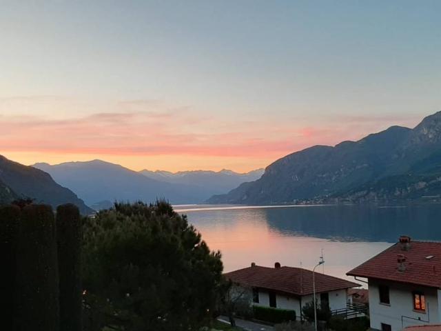 Appartamento in affitto a Oliveto Lario LC
