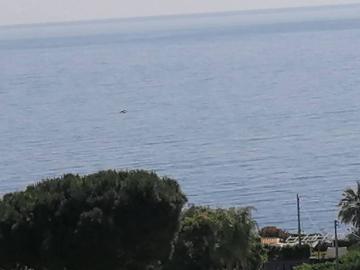 Appartamento in affitto a Acireale CT