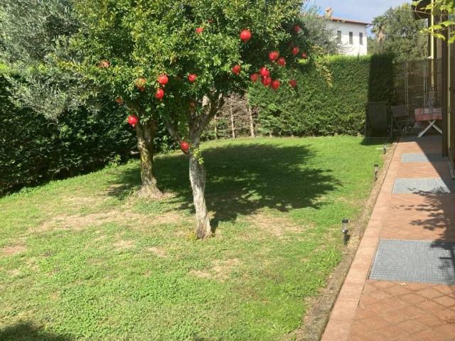 Appartamento in affitto a Albiolo CO
