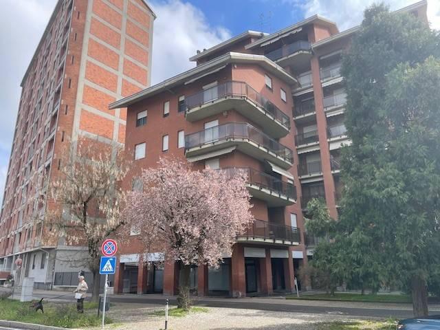 Appartamento in affitto a Alessandria AL