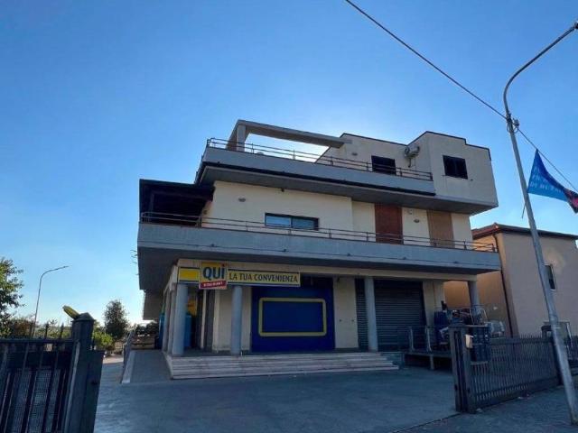 Appartamento in affitto a Altavilla Silentina SA