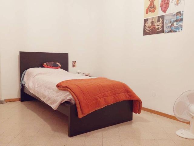 Appartamento in affitto a Ancona AN