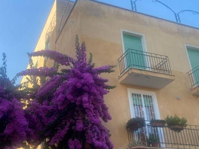 Appartamento in affitto a Anzio RM