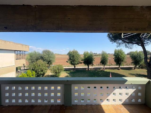 Appartamento in affitto a Ardea RM