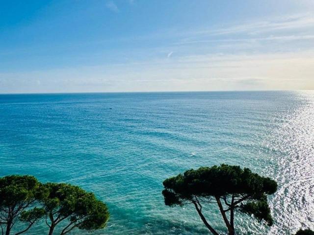 Appartamento in affitto a Arenzano