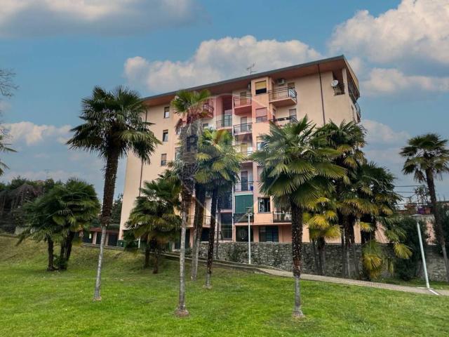 Appartamento in affitto a Arona NO