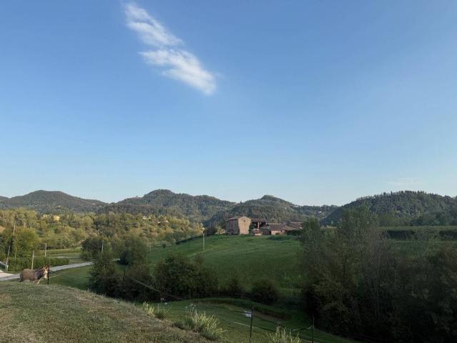 Appartamento in affitto a Asolo TV