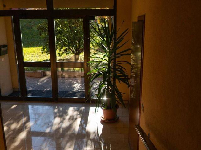 Appartamento in affitto a Assago MI
