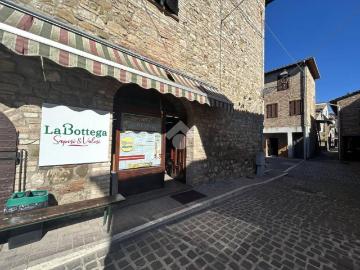 Appartamento in affitto a Assisi PG