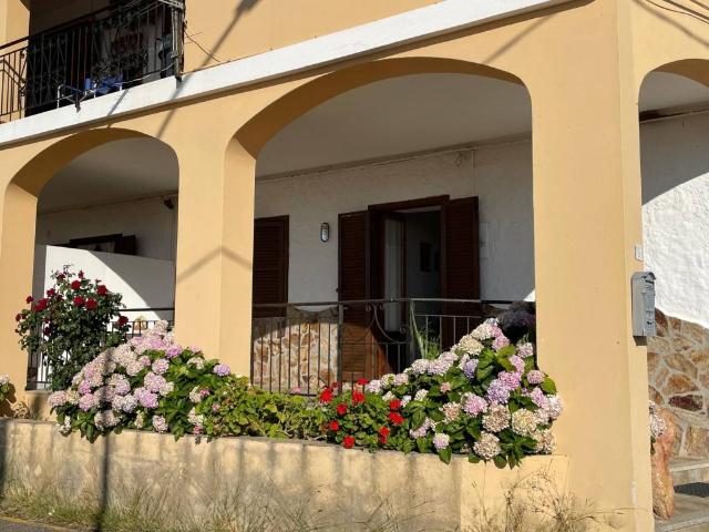 Appartamento in affitto a Budoni OT