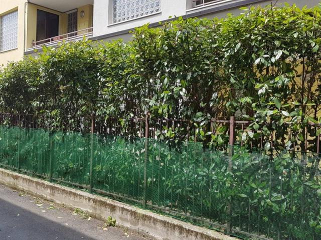 Appartamento in affitto a Busto Arsizio VA