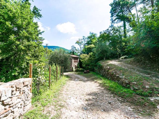 Appartamento in affitto a Buti PI