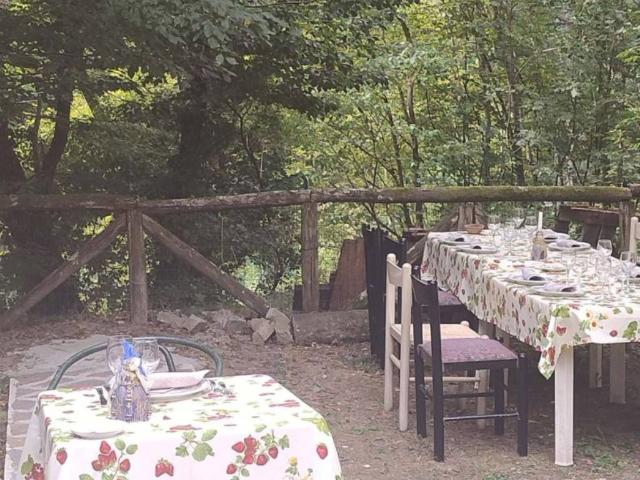 Appartamento in affitto a Bagni di Lucca strada dell'Abetone e del Brennero TrovaCasa
