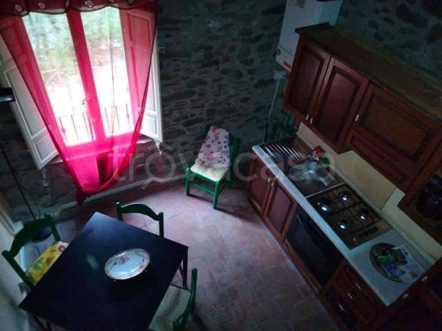 Appartamento in affitto a Bagni di Lucca strada dell'Abetone e del Brennero, arredato, giardino TrovaCasa