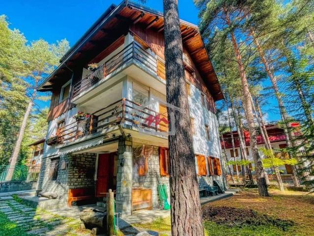 Appartamento in affitto a Bardonecchia TO