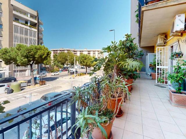 Appartamento in affitto a Bari BA