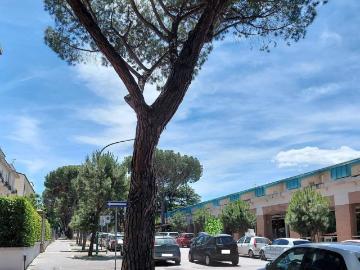 Appartamento in affitto a Benevento BN
