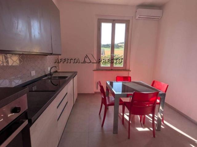 Appartamento in affitto a Bertinoro via Molino Selbagnone, arredato, giardino, ristrutturato TrovaCasa