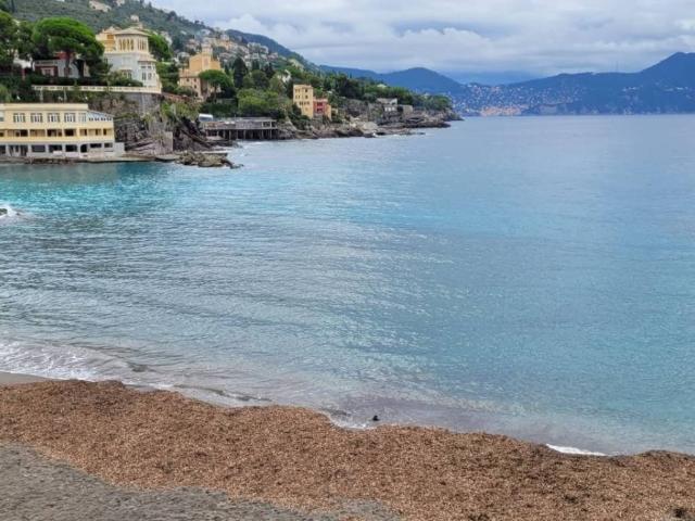 Appartamento in affitto a Bogliasco GE