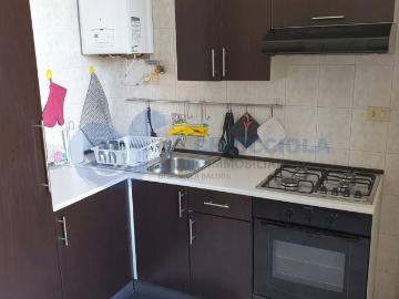 Appartamento in affitto a Bologna