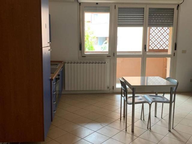 Appartamento in affitto a Bologna BO