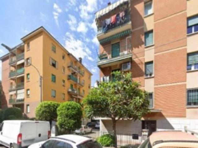 Appartamento in affitto a Bologna BO