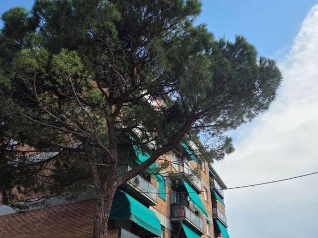 Appartamento in affitto a Bologna BO