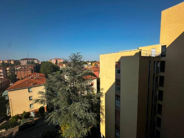 Appartamento in affitto a Bologna BO