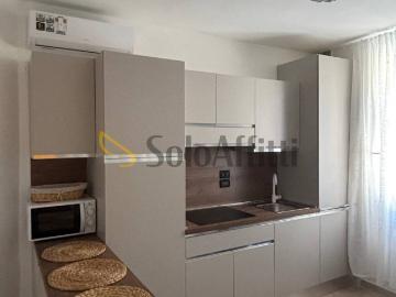 Appartamento in affitto a Bologna BO