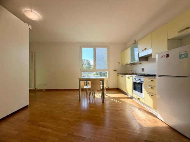 Appartamento in affitto a Bologna BO