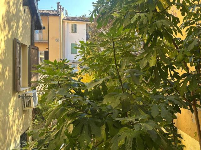 Appartamento in affitto a Bologna BO