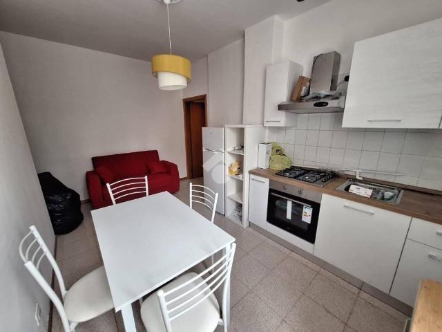 Appartamento in affitto a Bologna BO