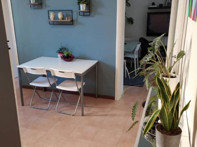 Appartamento in affitto a Bologna BO