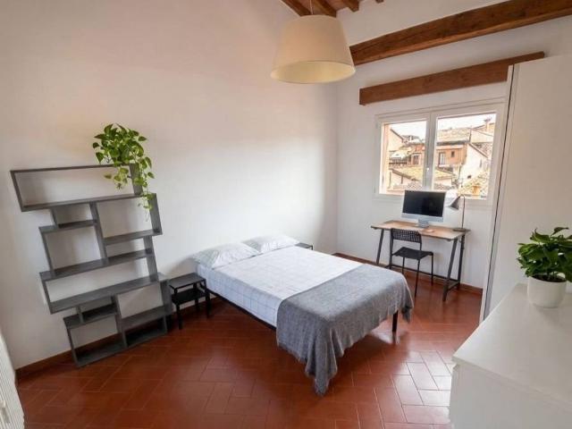 Appartamento in affitto a Bologna BO