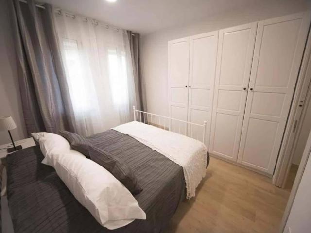 Appartamento in affitto a Bologna BO