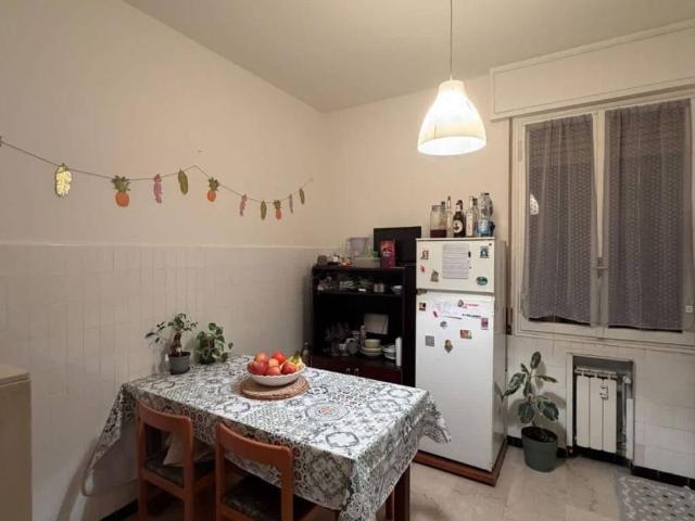 Appartamento in affitto a Bologna BO
