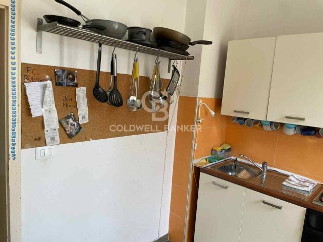 Appartamento in affitto a Bologna BO