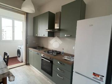 Appartamento in affitto a Bologna BO