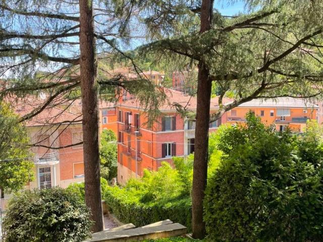 Appartamento in affitto a Bologna BO