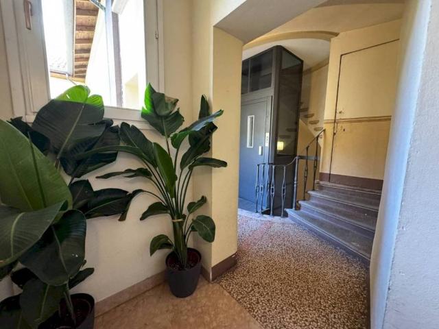 Appartamento in affitto a Bologna BO