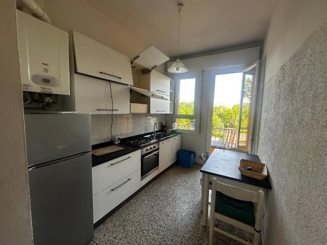 Appartamento in affitto a Bologna BO