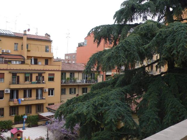 Appartamento in affitto a Bologna BO