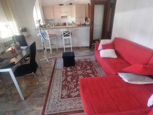 Appartamento in affitto a Bologna BO