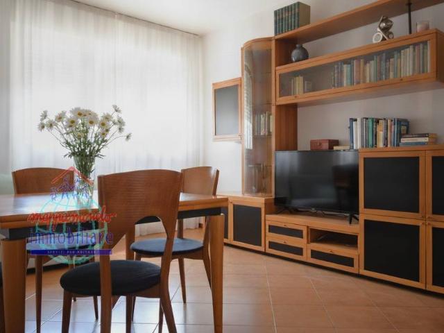 Appartamento in affitto a Bologna BO