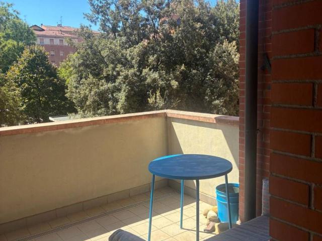 Appartamento in affitto a Bologna BO