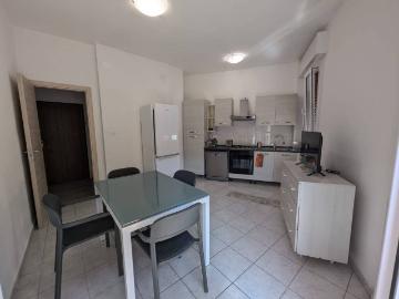 Appartamento in affitto a Bologna BO