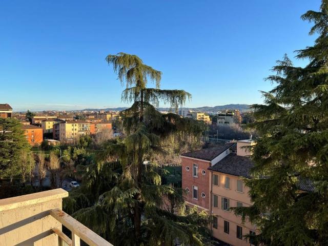 Appartamento in affitto a Bologna BO